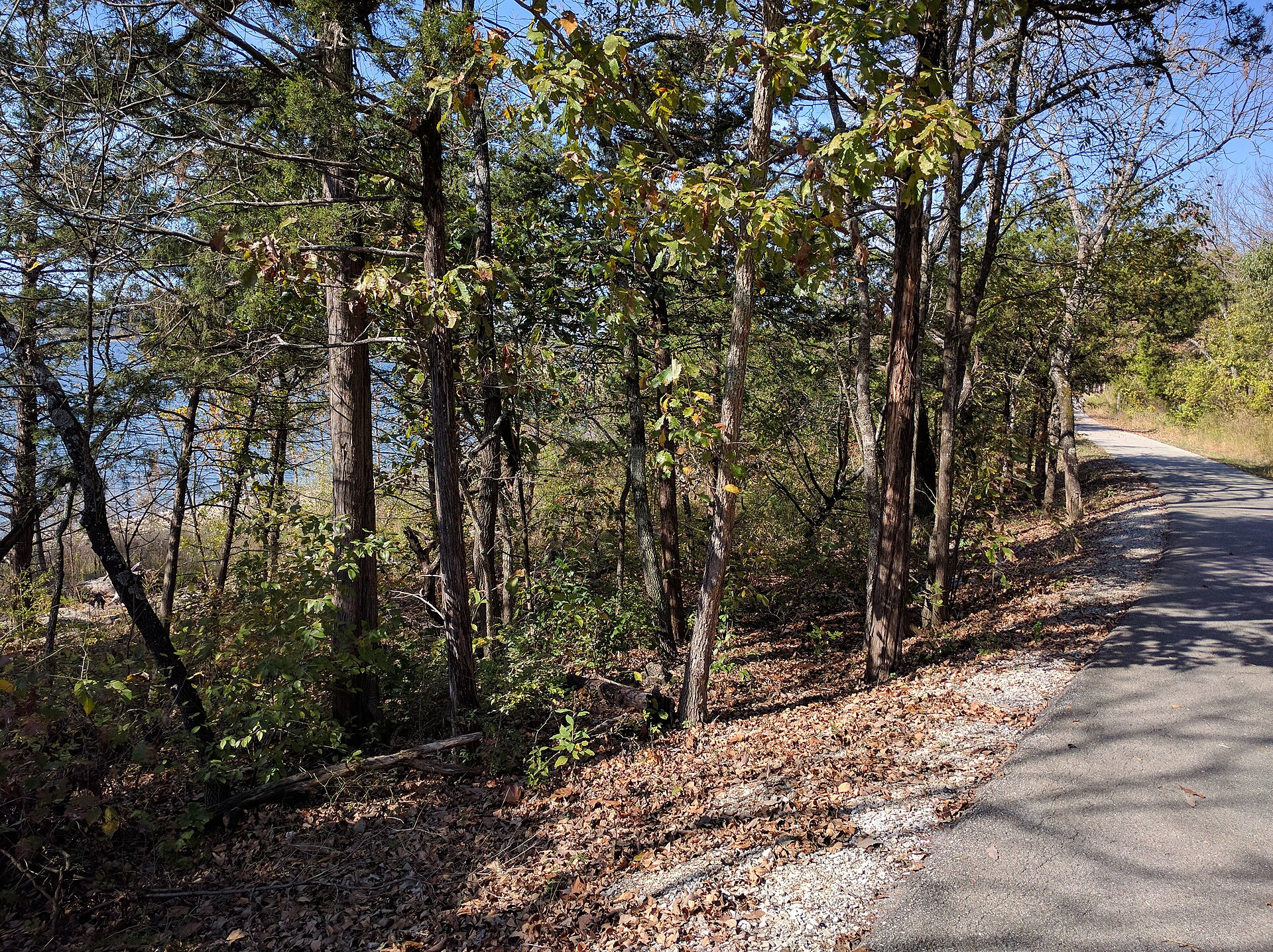 Shoreline trail at Table Rock Lake